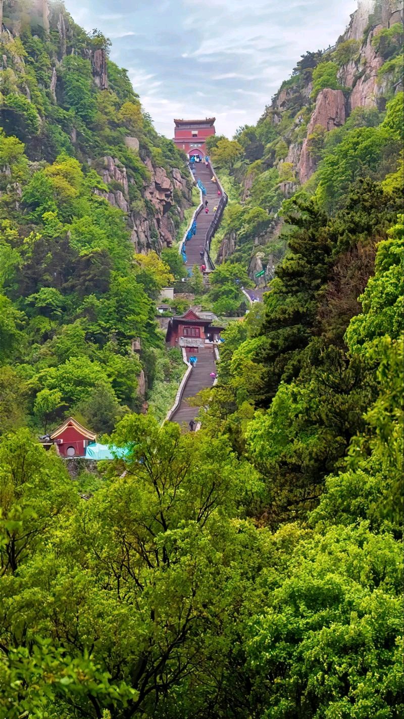 聆听 ‖ 梦缘梦朗诵《纪实文学*登泰山 做神仙》作者/任学路（图8）