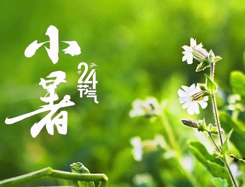 【和阳诗人】小暑||文/笔架山人