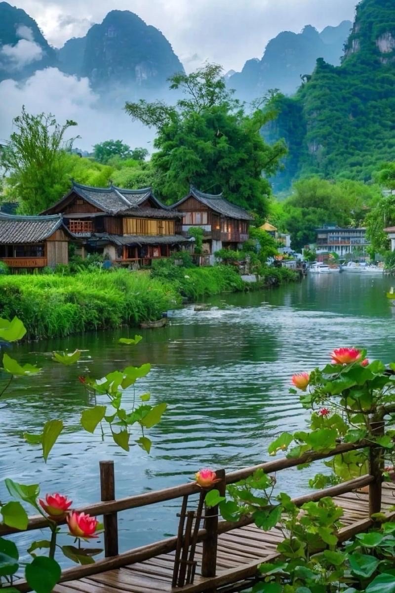 聚散无常的群事 ( 随 笔 )：作者||金国民｜海外头条（图5）