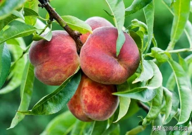 《东方即白现代诗几首新作》作者：东方即白 [中国现代诗歌文化传媒推荐]（图7）