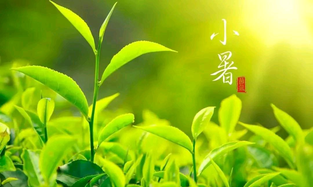 敬请欣赏||四海诗词社李培忠老师诗词专辑第六辑（诗词楹联） 作者:李培忠（图10）