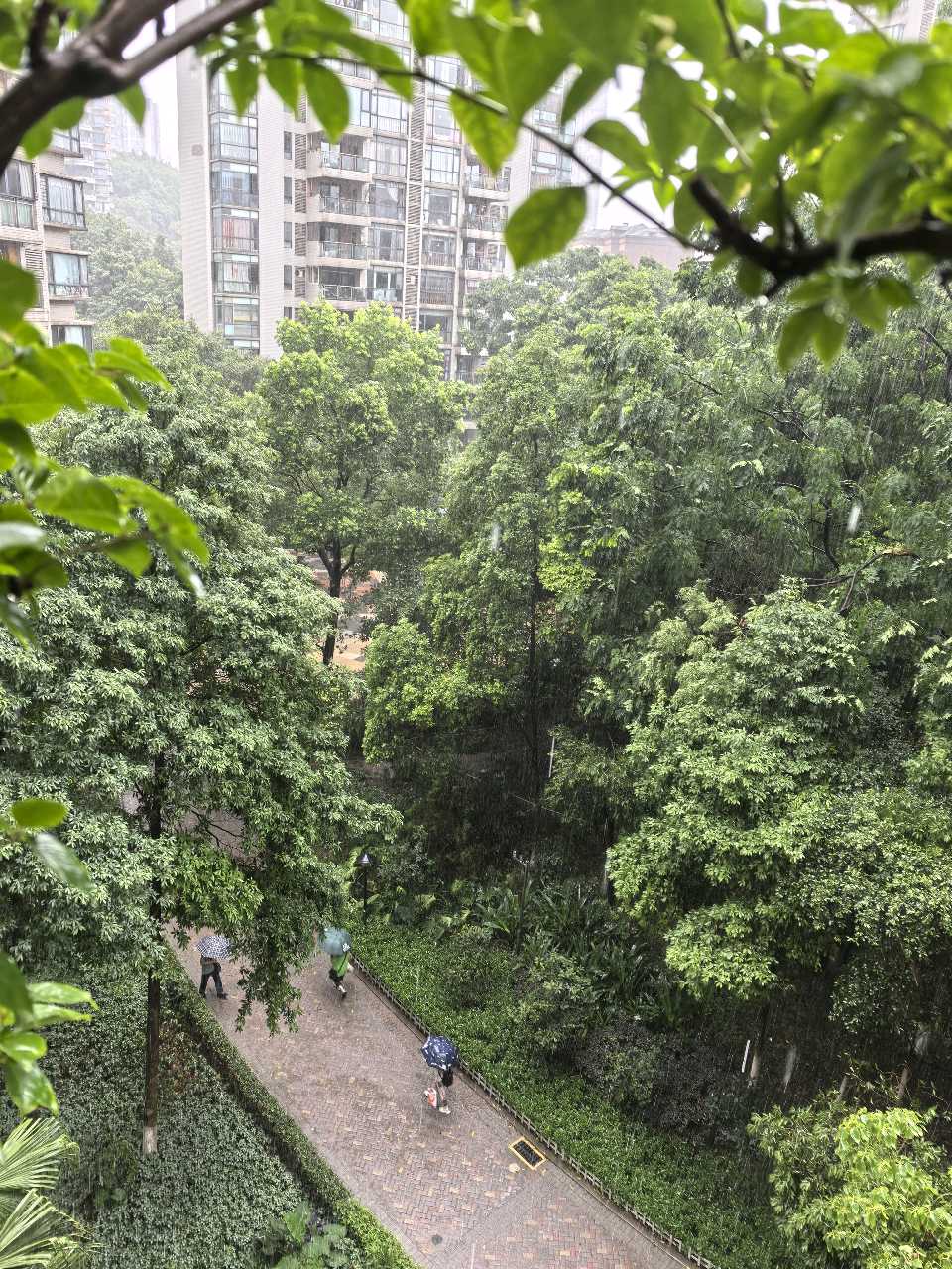 「散文」雨后铜元之光，别样山城景致（图2）