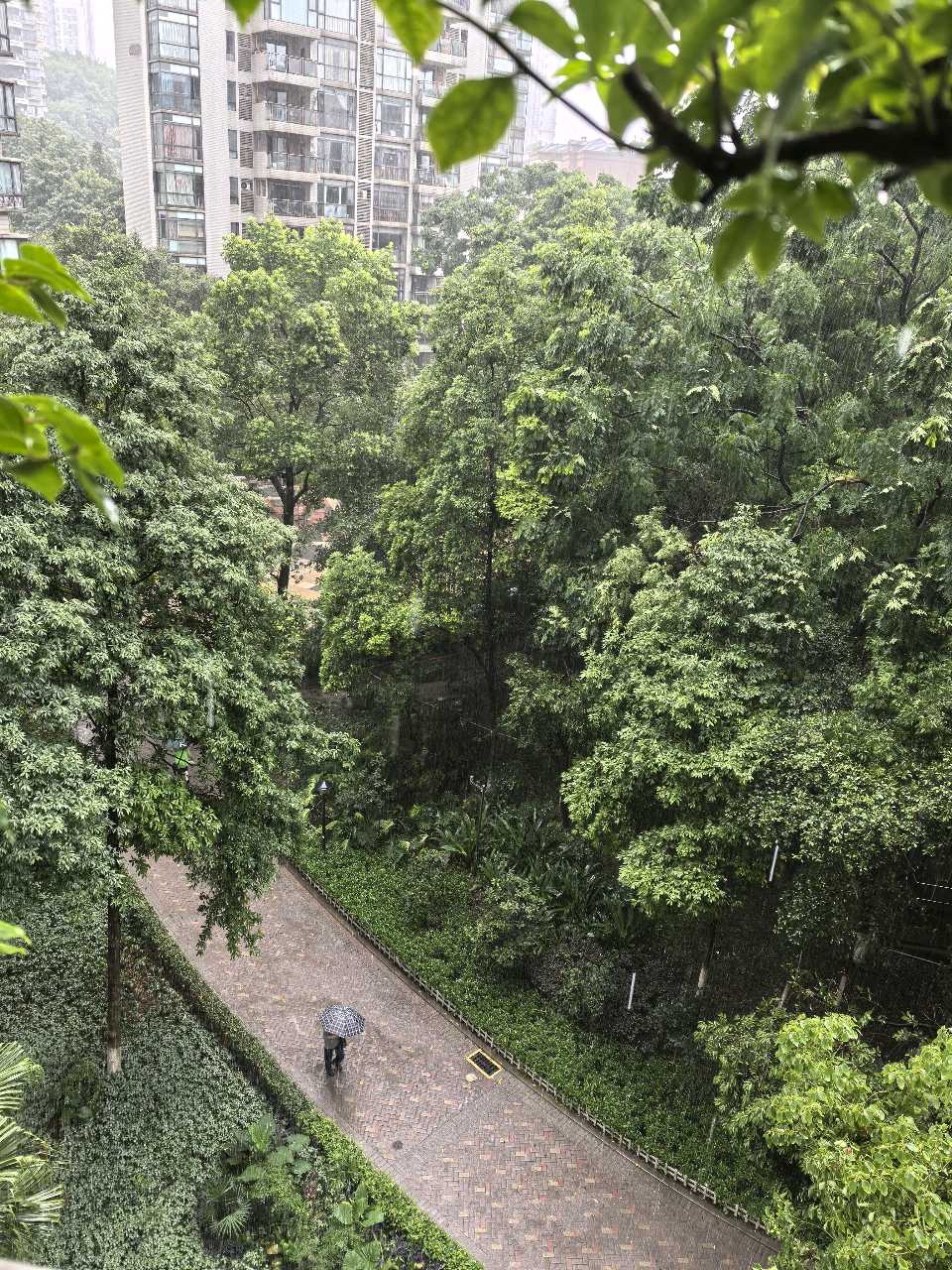 「散文」雨后铜元之光，别样山城景致（图4）