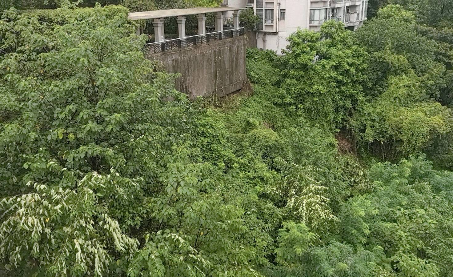 「散文」雨后铜元之光，别样山城景致（图5）