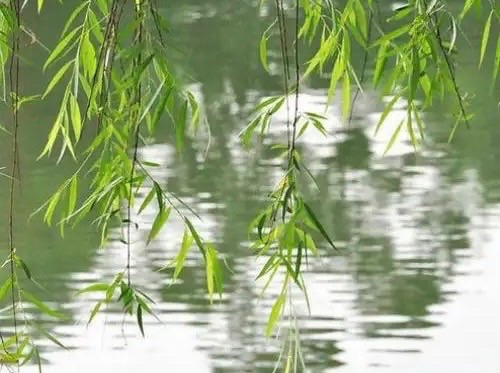 【新诗大观】七月流火帖||文/郭清晓（图3）