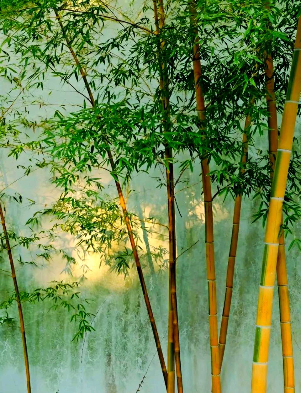浪淘沙令-彩虹（外一首）词◑马文智（图15）