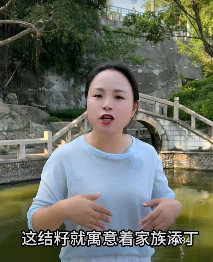十二花神赋连载⑦⑧诗◑雅轩琴韵（图29）