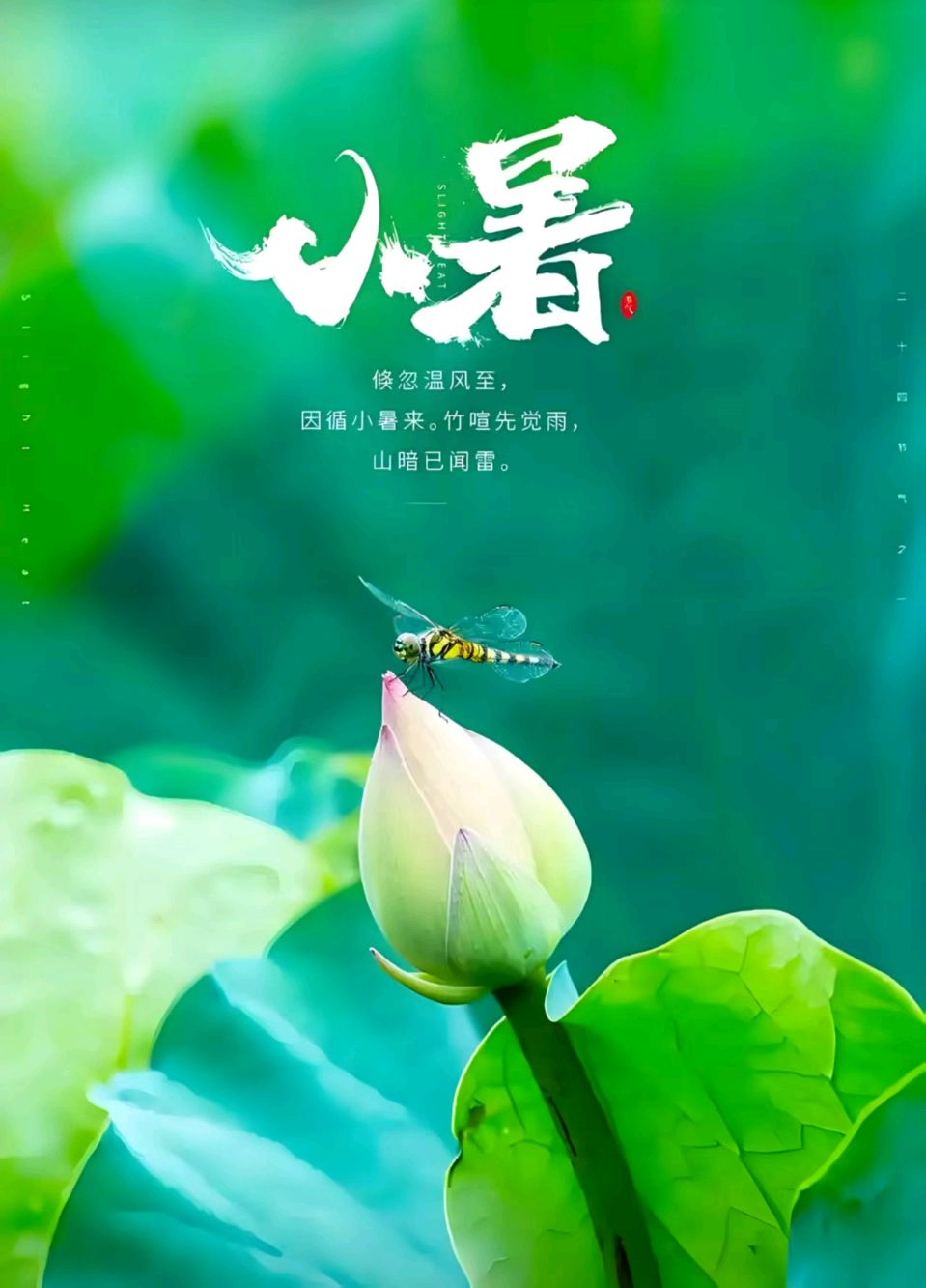 【荣耀中国】小 暑 怪夫子（图4）