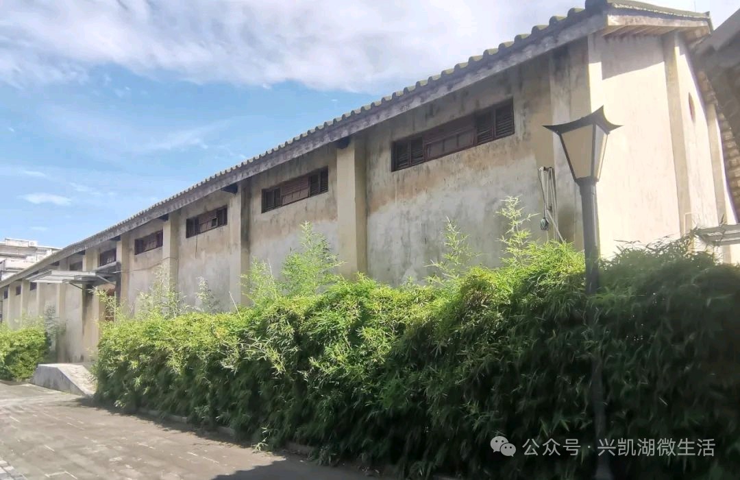 【游记】惠州东坡粮仓到底是啥样的/作者：王夫（图8）