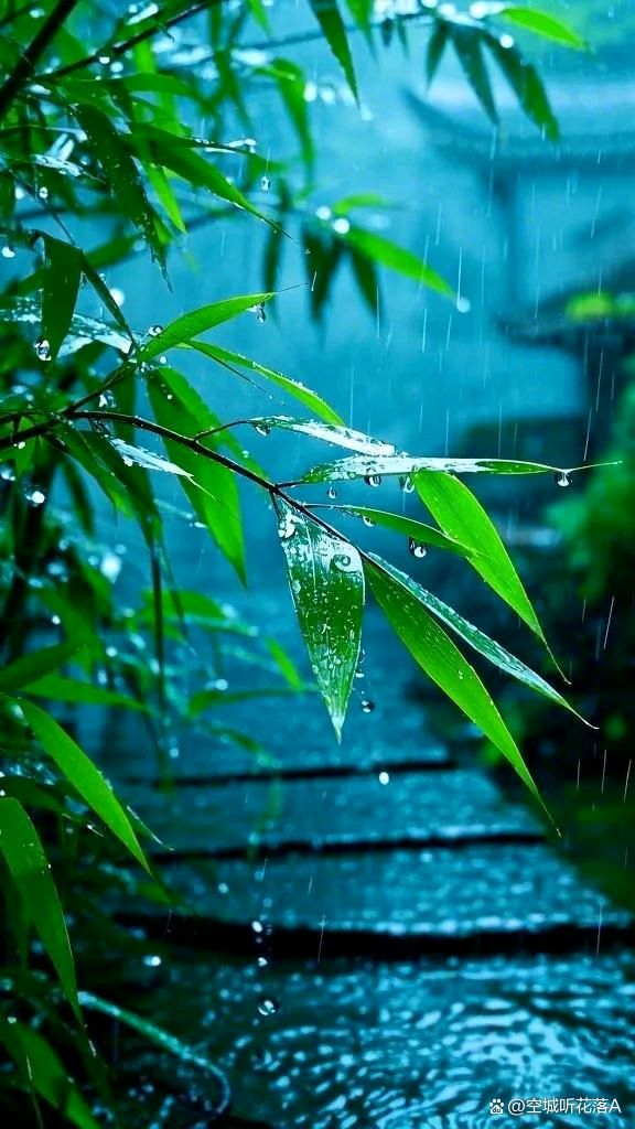 《七绝 • 如意雨》外一首/文/杨子钦（河南）（图3）