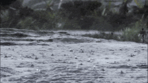大雨 作者:张满海（图2）