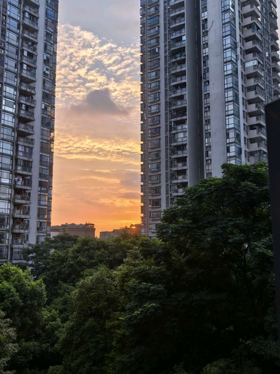 「散文」渝州雨后晚照：晚霞漫过烟火人间（图6）