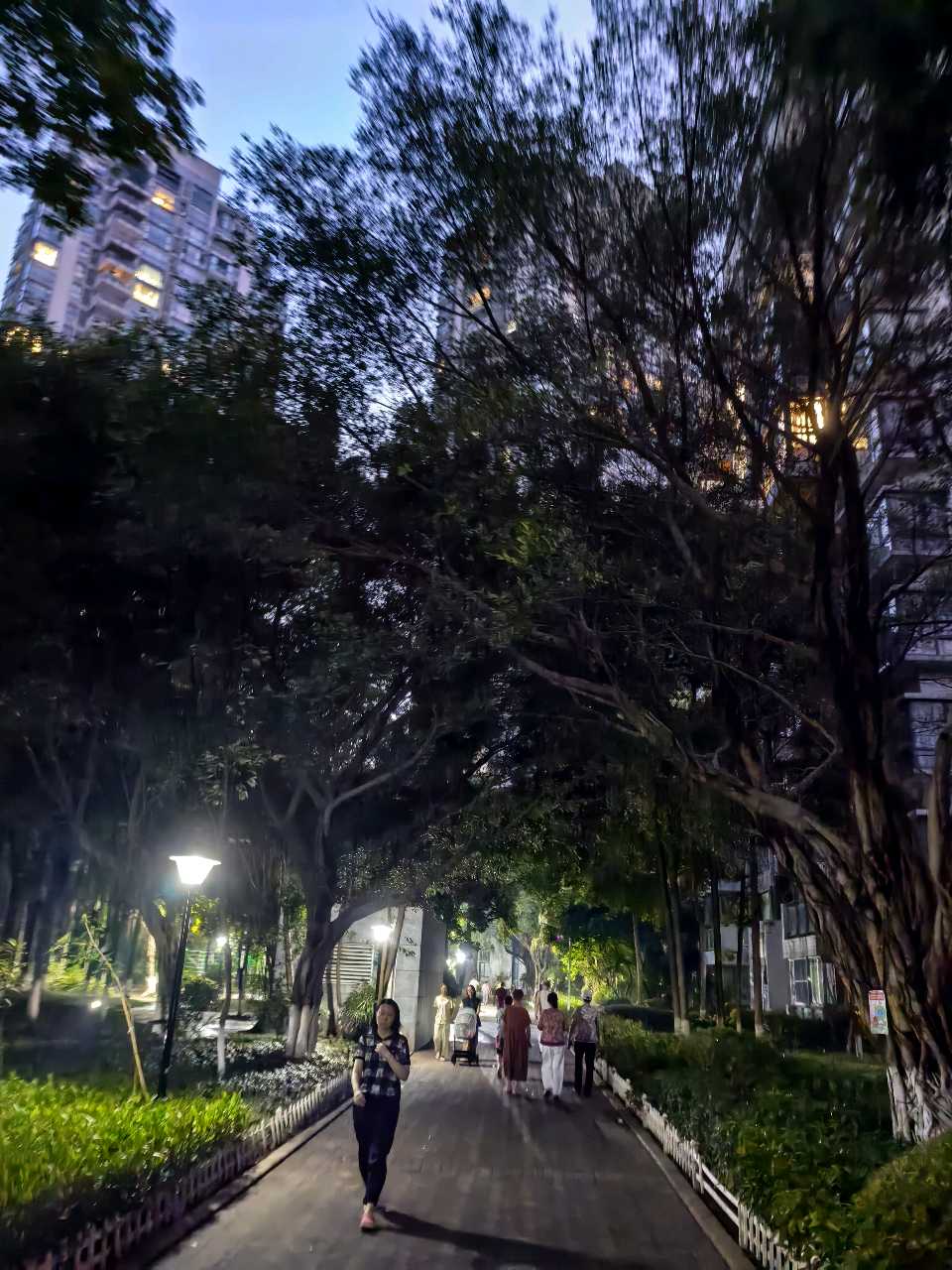 「散文」渝州雨后晚照：晚霞漫过烟火人间（图12）