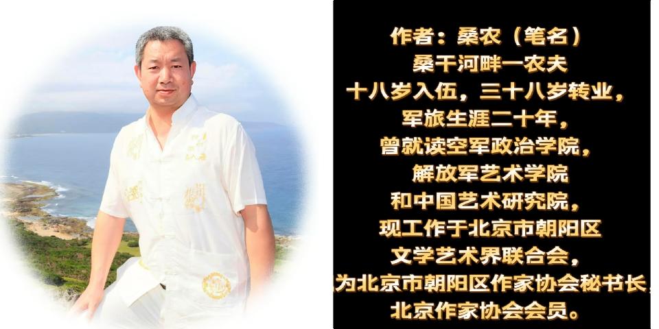 作者——桑农