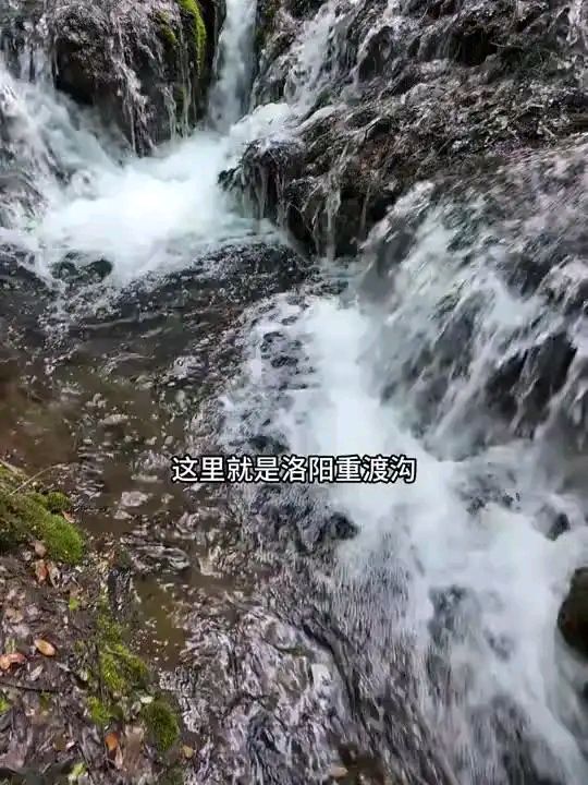 崔淑清2025第二季度诗词选粹‖巴彦诗词楹联协会【912】（图5）