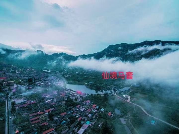 图片4 图片4