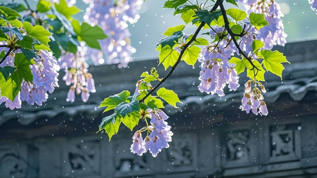 现代诗 花雨说梧桐（外七首）/作者：谢云峰（图3）