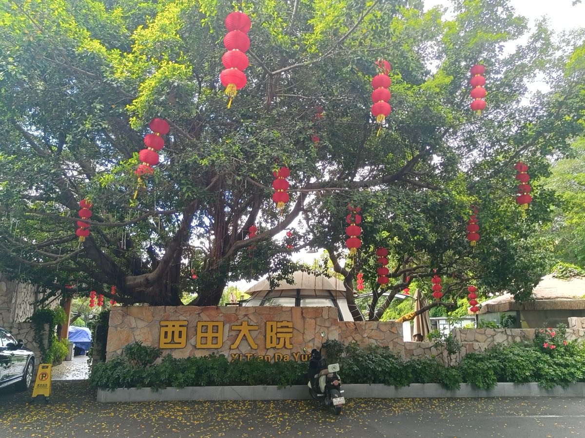 《墨润丰盛·笔醒乡愁》：作者 ||苏音｜海外头条（图5）