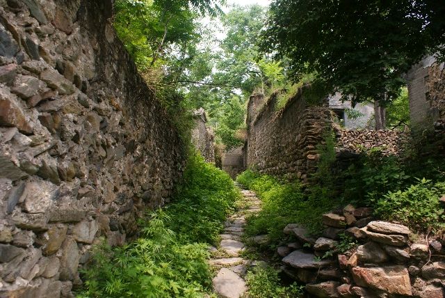 【荣耀中国】咏蛙王富保(山西)（图3）