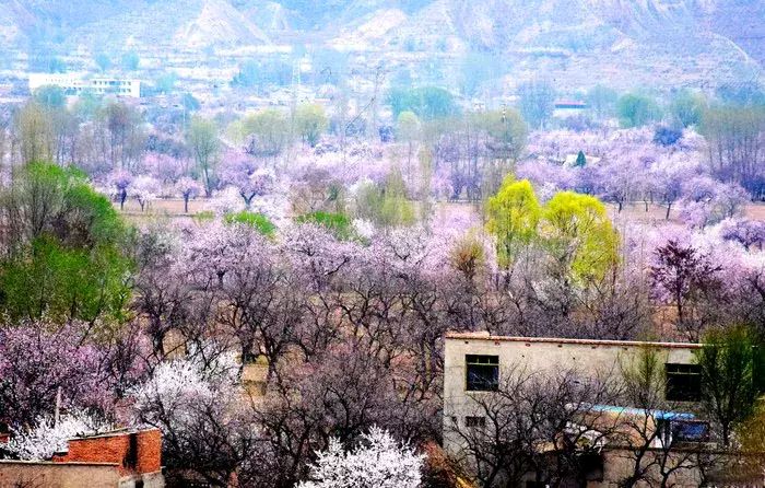 【荣耀中国】水龙吟·咏家乡山水（新韵）词/吴情（辽宁抚顺）（图2）