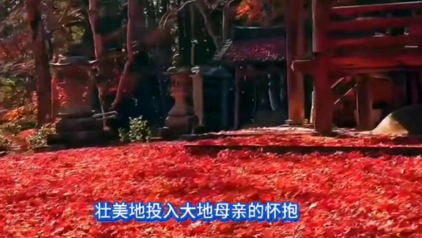 《九江文学社：北京头条》新歌出炉《醉人的一抹红》作词：洪新爱 作曲：杨穆白 演唱：安谧（图6）