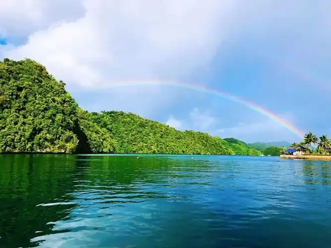 2411.阳光在雨中 文/林水火（福建）（图2）