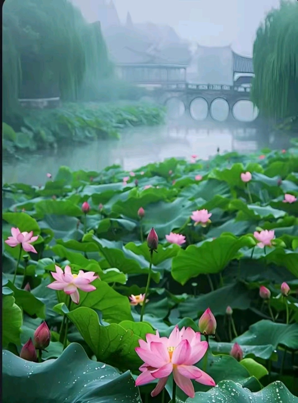 【荣耀中国】七律 金秋喜悦 杨茂敬（图2）