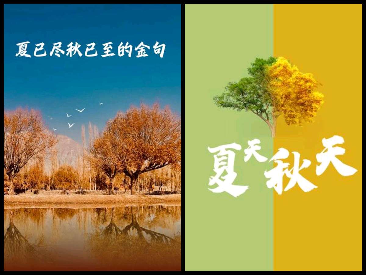 【隆重推出】鲁坡//花甲犹存鸿鹄志[幡然醒悟夏织秋]（图20）
