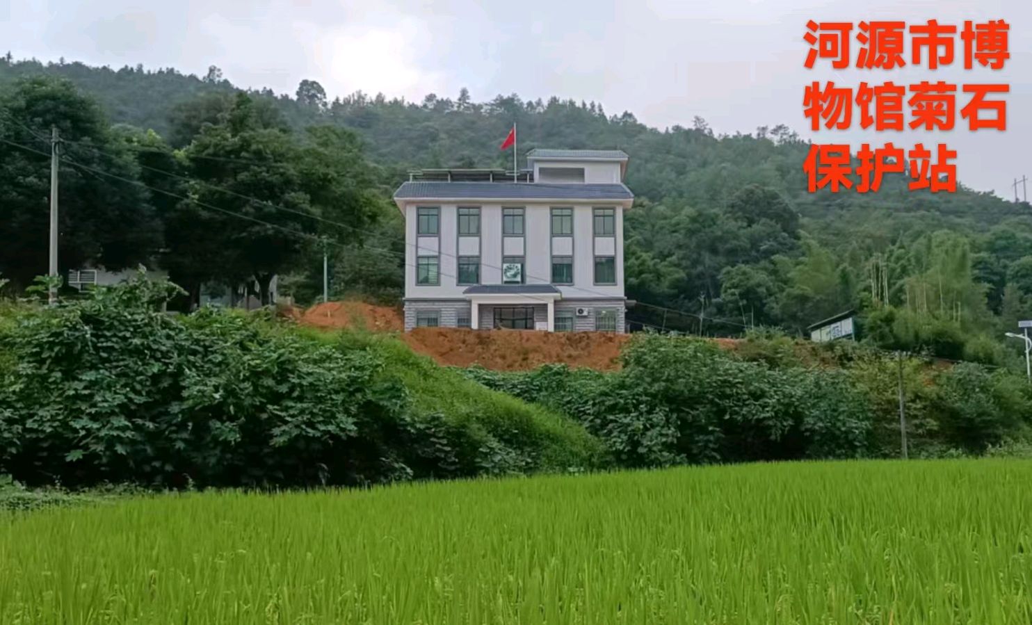 萧锦良诗词专辑第276期（图6）