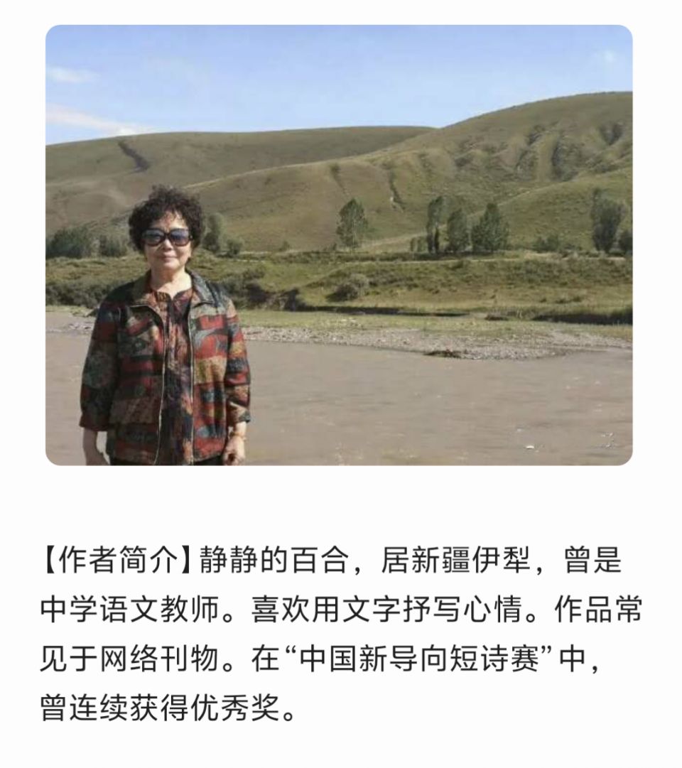 【有声】静静的百合：伊犁小暑‖主播：微澜（图3）