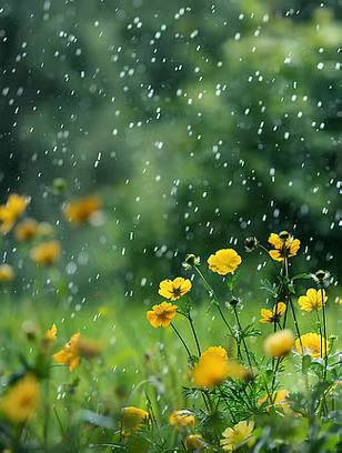 【荣耀中国】暑天 谭慧雄（图7）