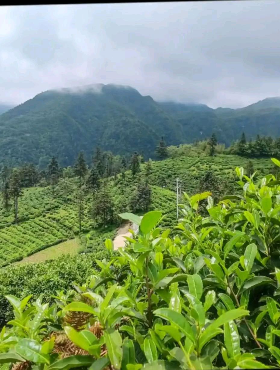 【荣耀中国】 请欣赏诗人吴宝金诗词（图8）