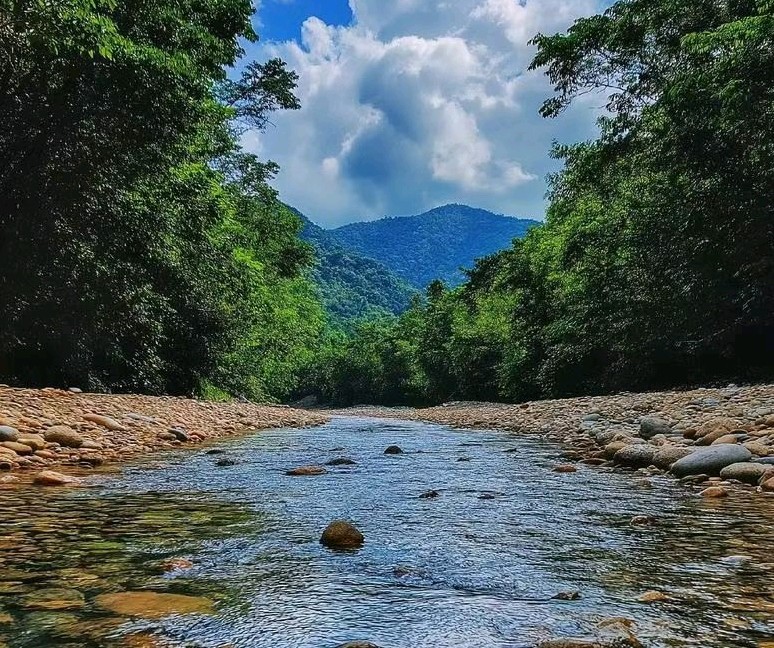 家乡的小河