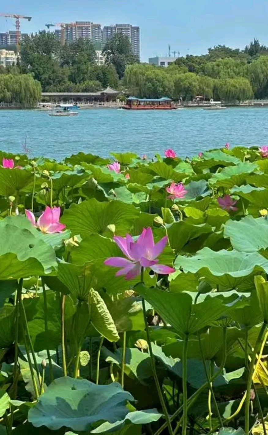三元七绝~上善若水/詹成（图2）