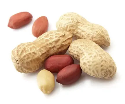 由《一桶过期花生油》想到的 文/吴伦林/江苏淮安（图5）