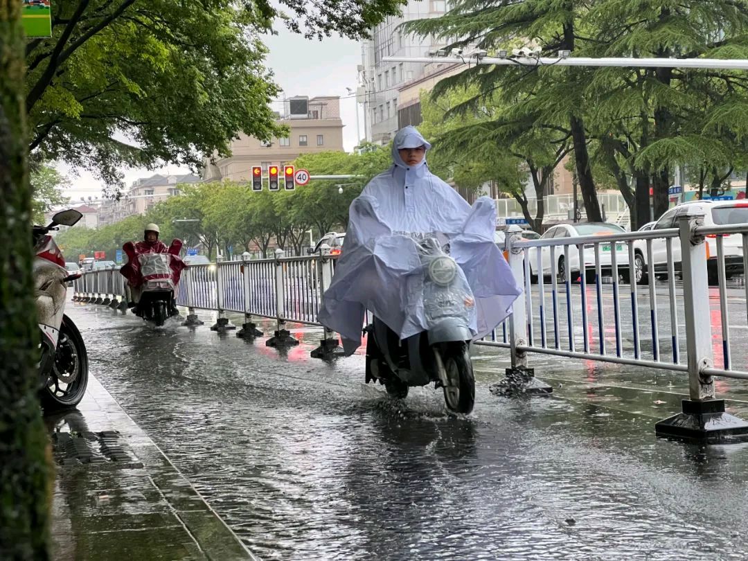 骤 雨 即 景（外一首）/作者：李庆明（图4）