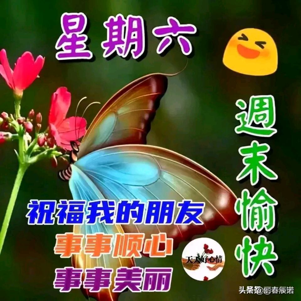 《龙游天下创作现代古诗词牌赏析》作者：龙游天下 [中国现代诗歌文化传媒推荐]（图5）
