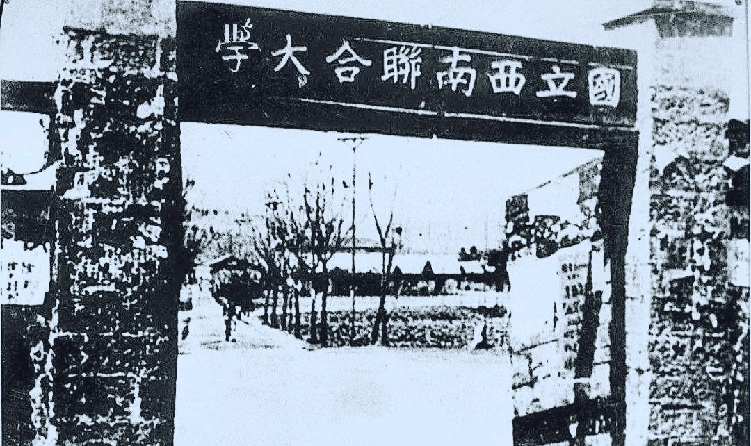 翠湖畔的教育新悟：从个体出发，探寻教育真谛（图4）
