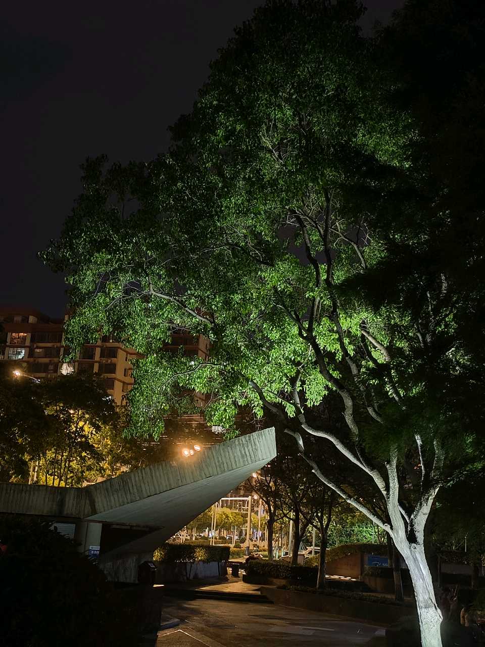 七绝-夏夜思～诗◑王政（图12）