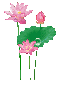 临江仙词二首 （龙谱 苏轼体）【词林正韵】《夏荷吟》 作者：连振华/广东（图8）