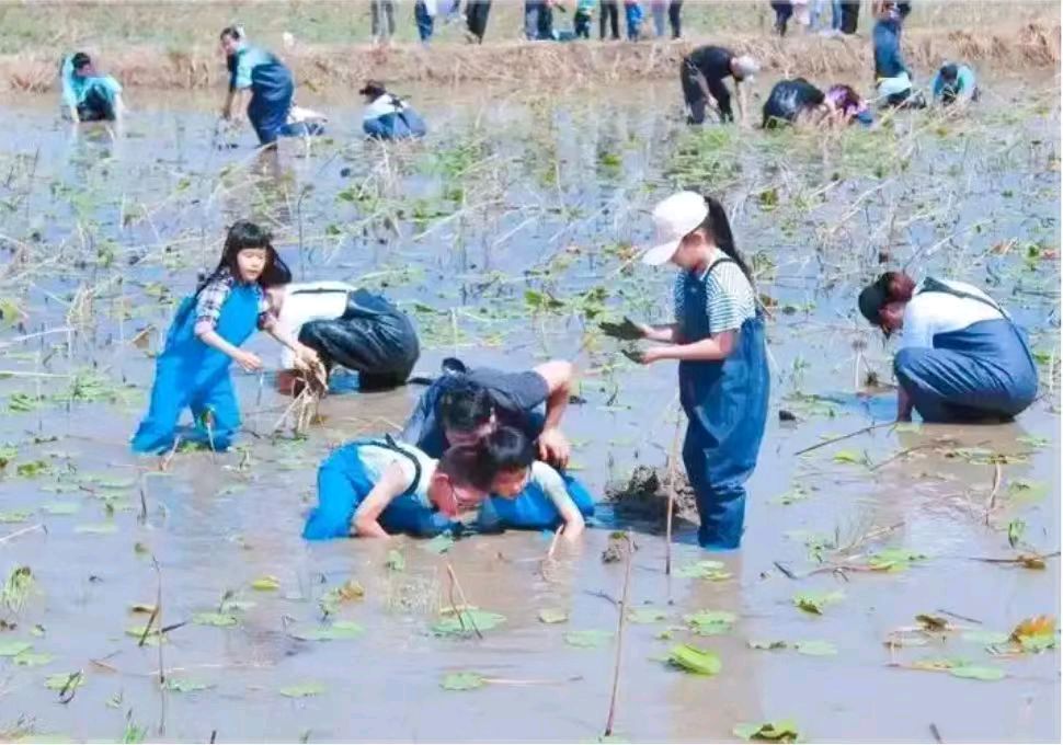【墨香群英苑】著名诗人王楼诗词（图6）