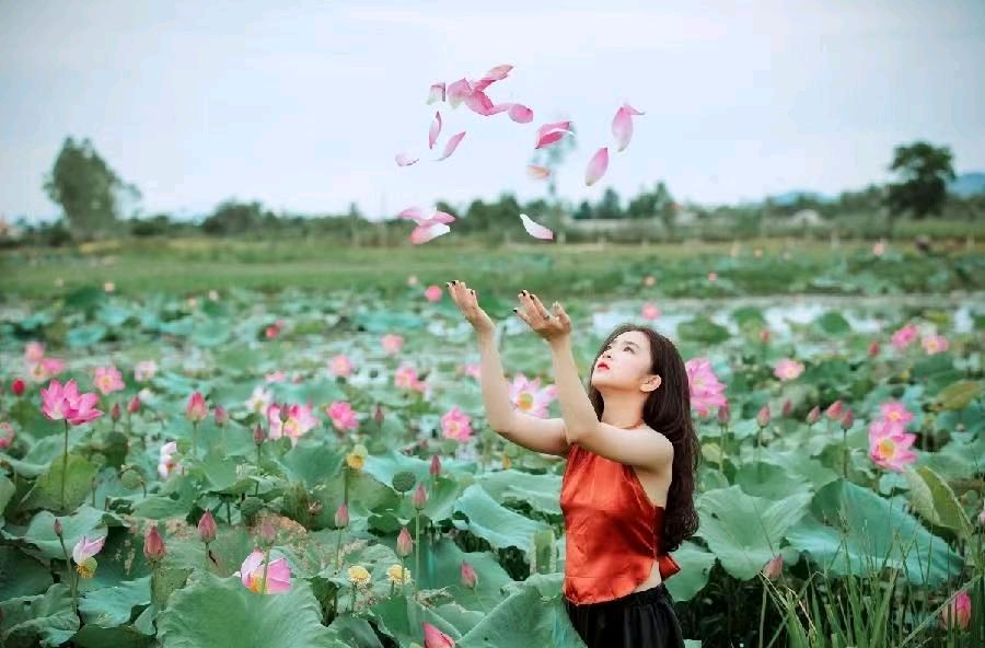 七律-盛夏寄怀～诗◑雅轩琴韵（图13）
