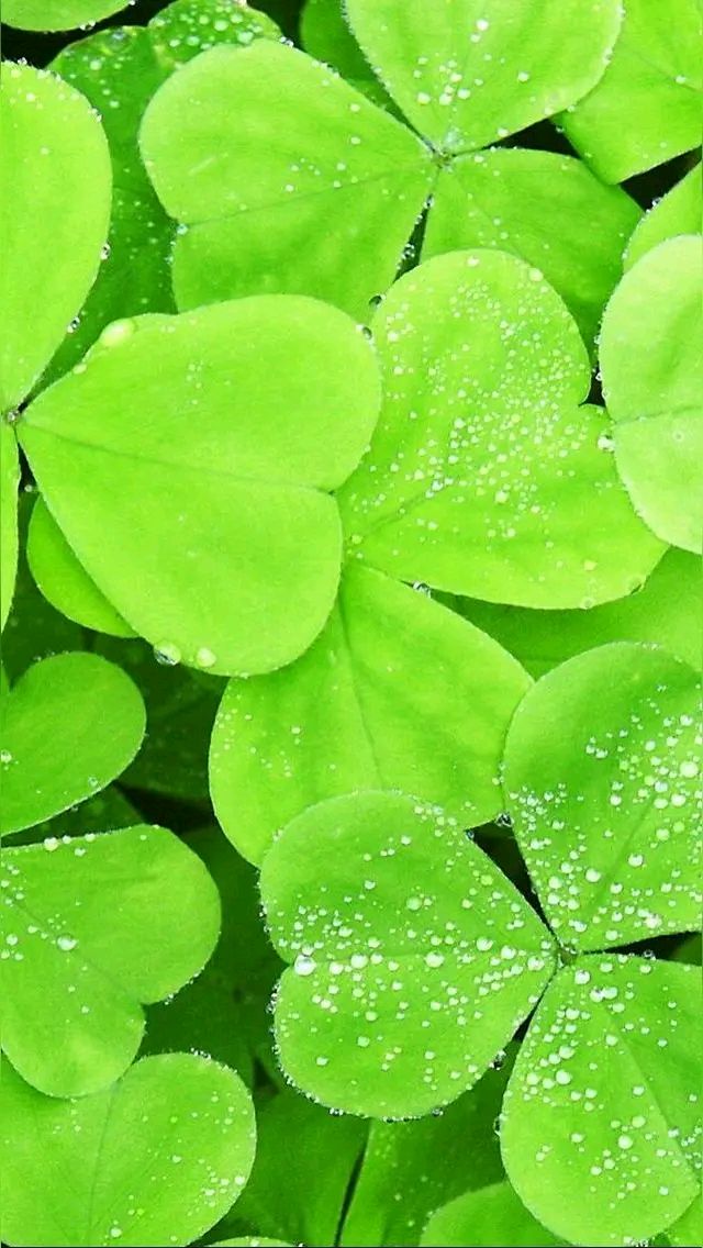 《雨柔舒怀吟》作者：涧石 [中国现代诗歌文化传媒推荐]（图5）