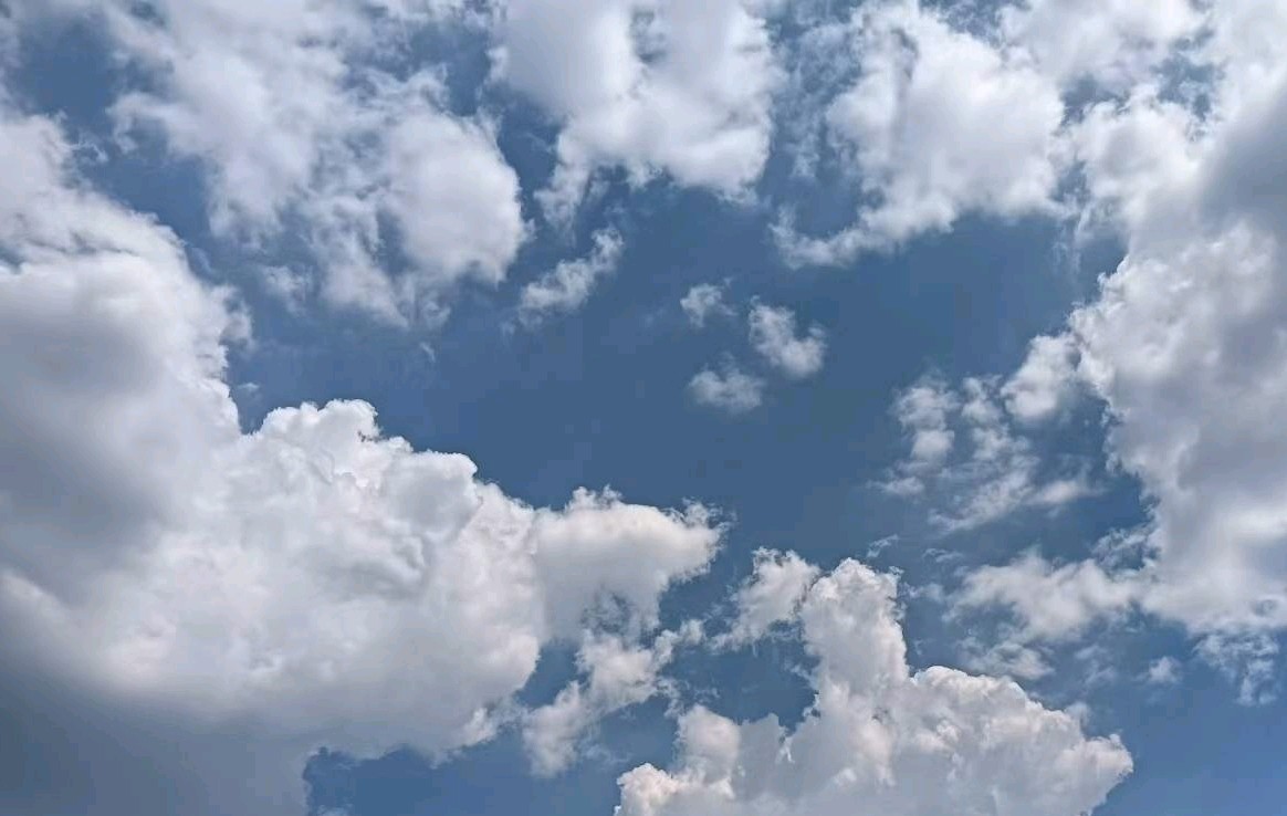 明天 您好