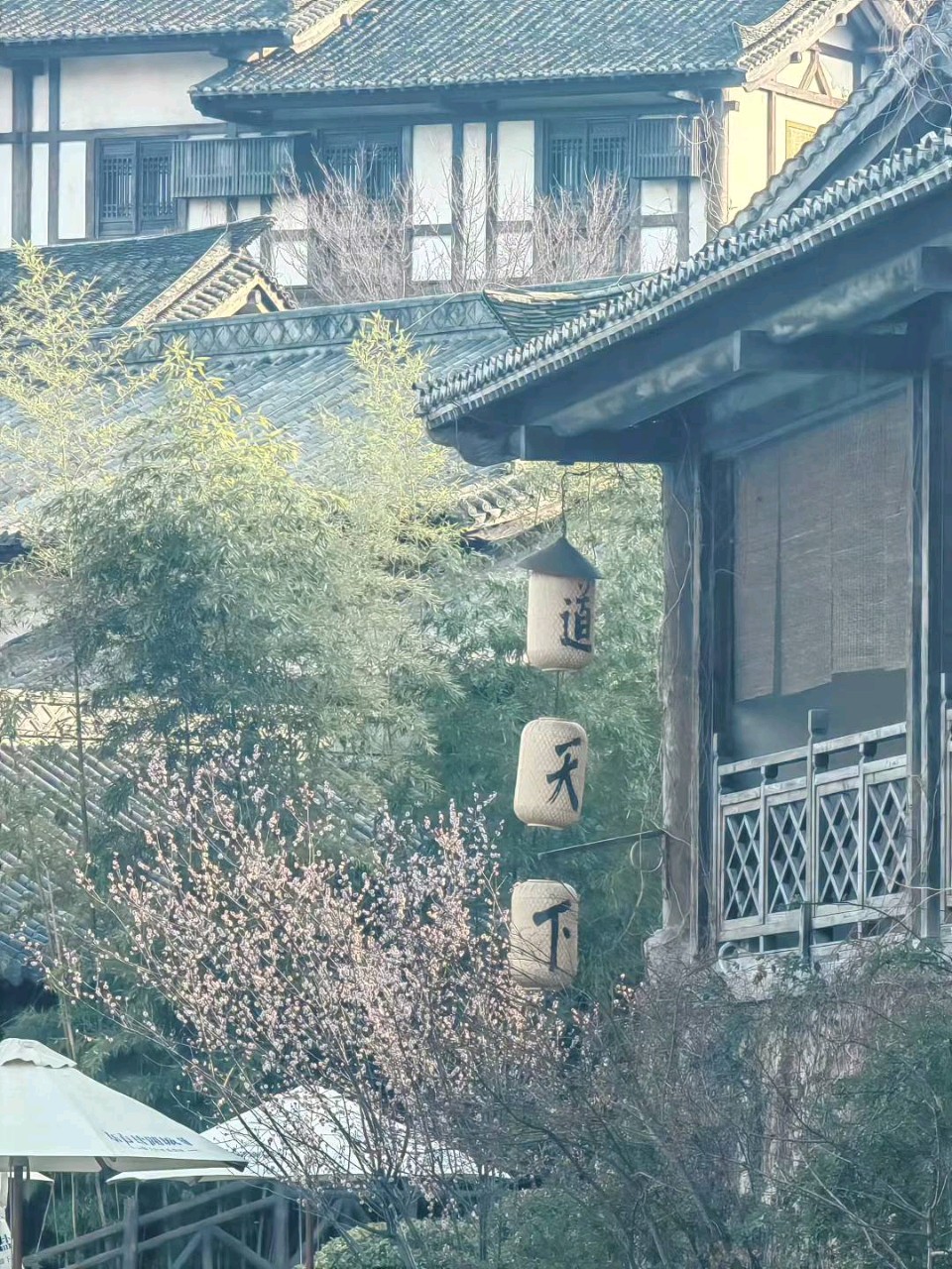 组诗《风绕过整个人间才吹到我身上》