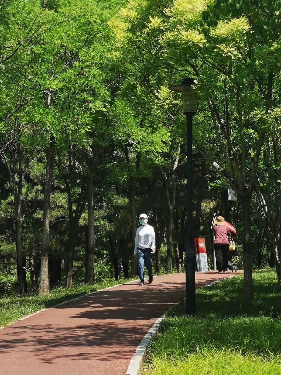 【神都诗社】第129期《嵌句:“绿荫幽草胜花时”》(图21)