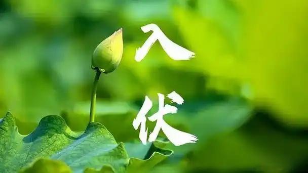 【新诗大观】入伏咏||文/张道发（图2）
