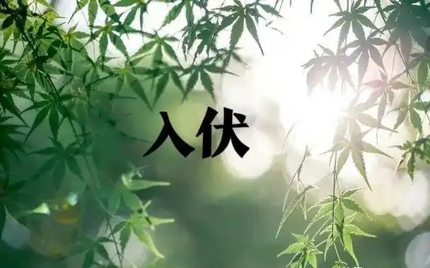 【新诗大观】入伏咏||文/张道发（图3）