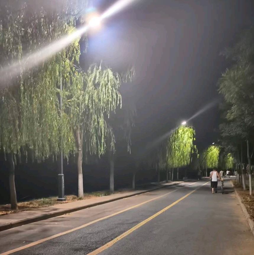 今夜凉风习习（外一首）