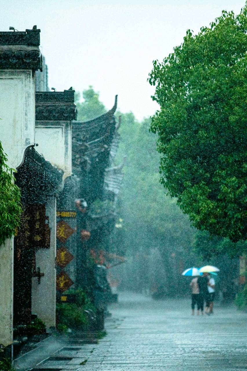 七律-闰年大暑～诗◑雅轩琴韵（图15）
